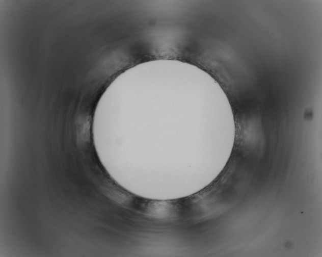 X0000101400717200807281002