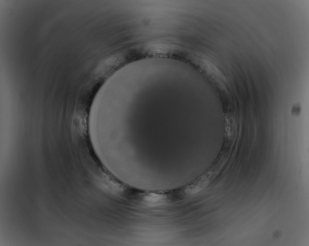 X0000101400718200807281002