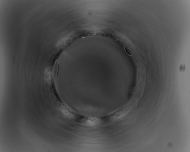 X0000101400720200807281002