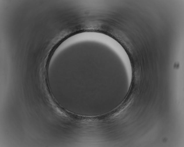 X0000101400721200807281001