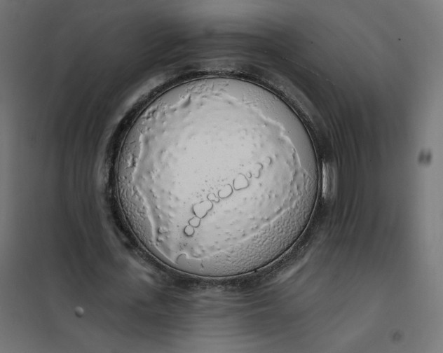 X0000101400723200807281001