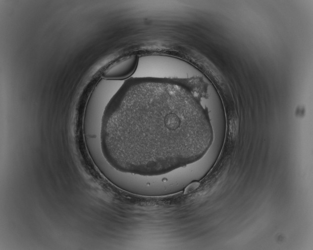 X0000101400724200807281001