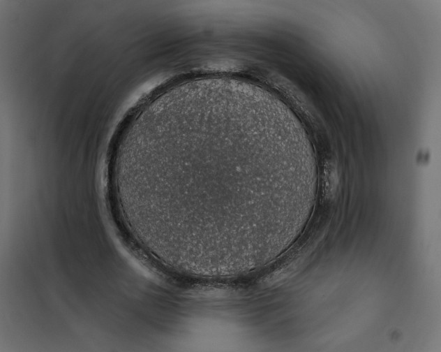 X0000101400726200807281001