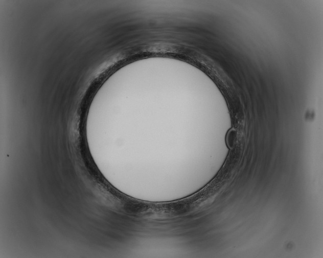 X0000101400727200807281001