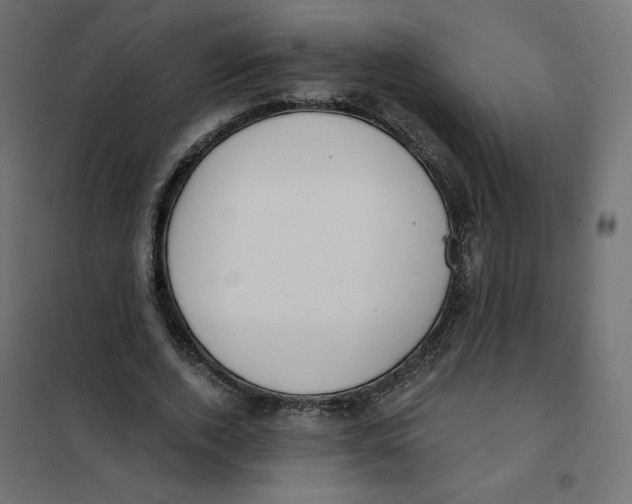 X0000101400728200807281001