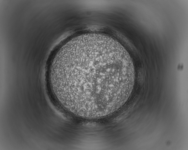 X0000101400730200807281001