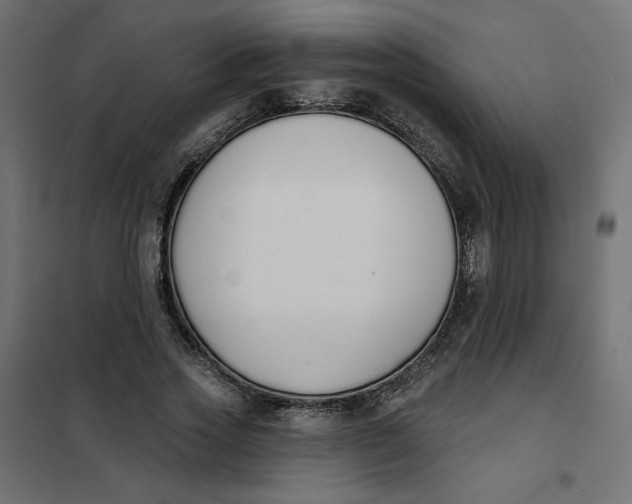 X0000101400733200807281001