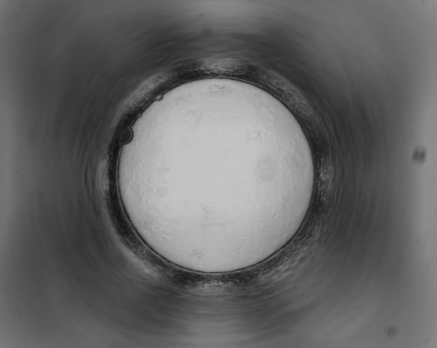 X0000101400734200807281001