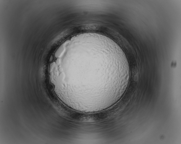 X0000101400735200807281001