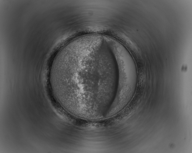 X0000101400736200807281001