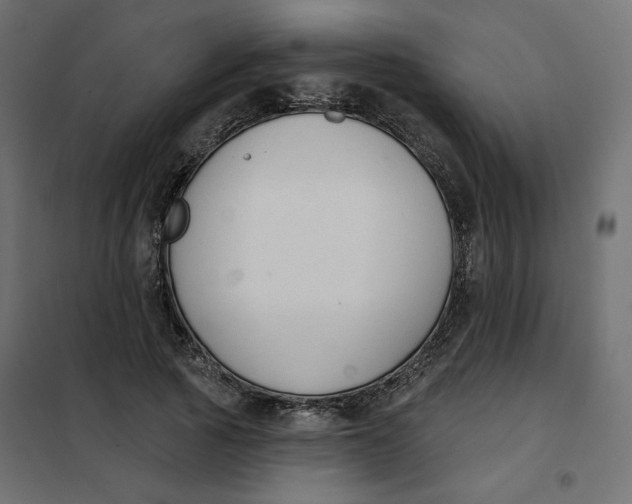 X0000101400737200807281001