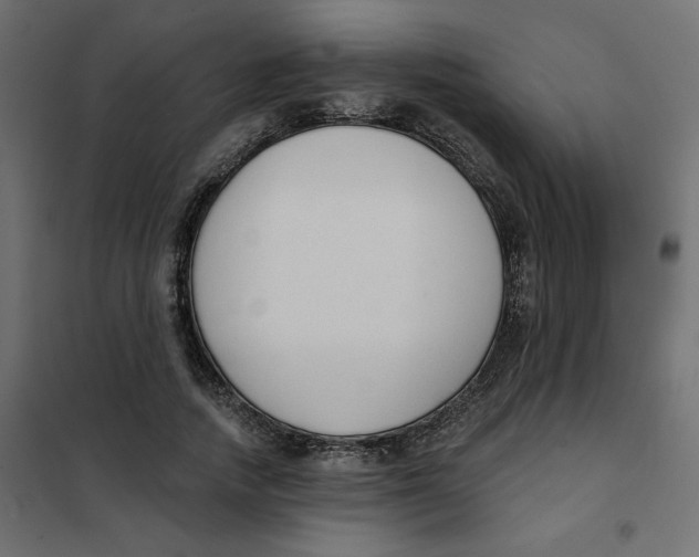 X0000101400738200807281001