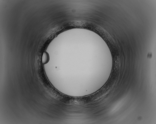 X0000101400739200807281001