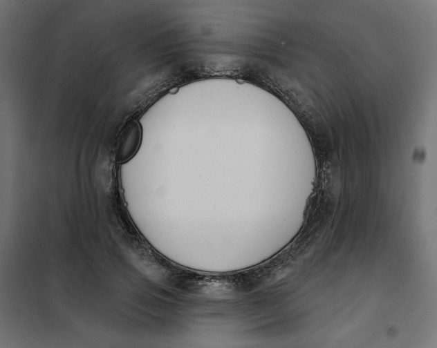 X0000101400741200807281001