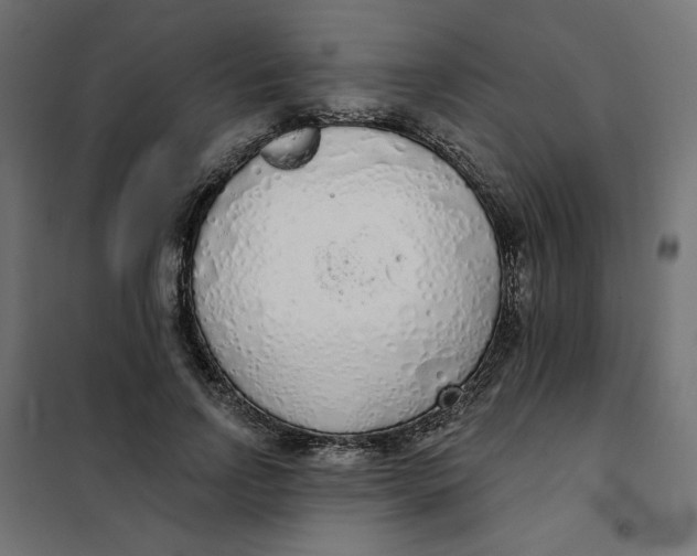 X0000101400742200807281001