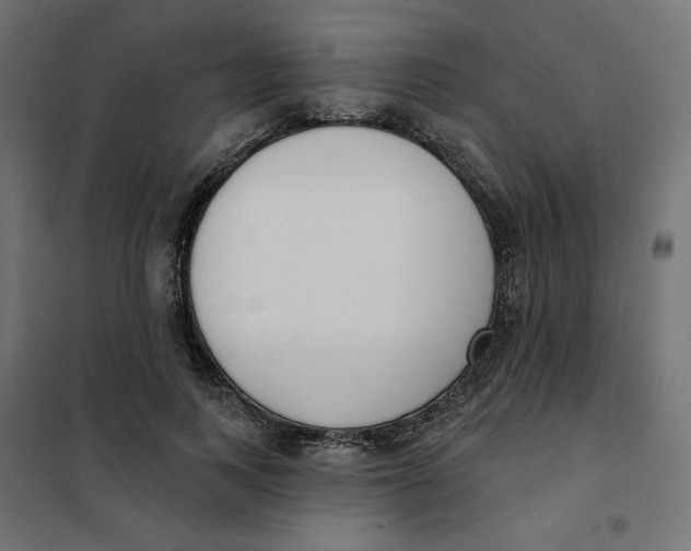 X0000101400743200807281001