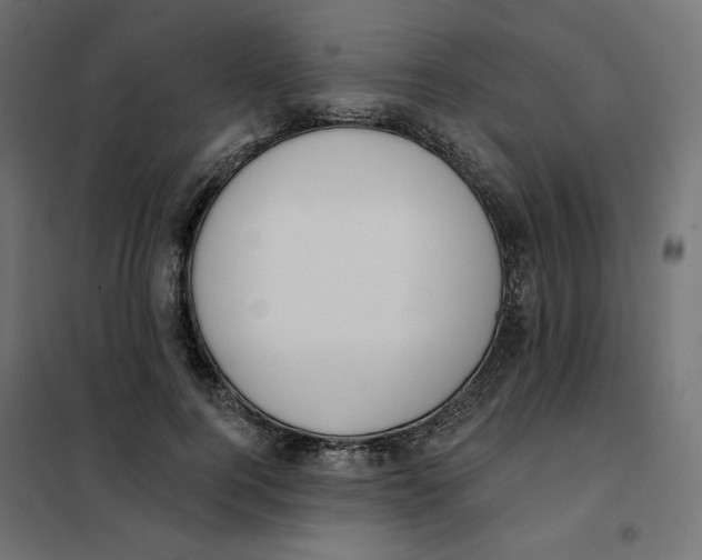 X0000101400744200807281001