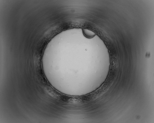 X0000101400745200807281001