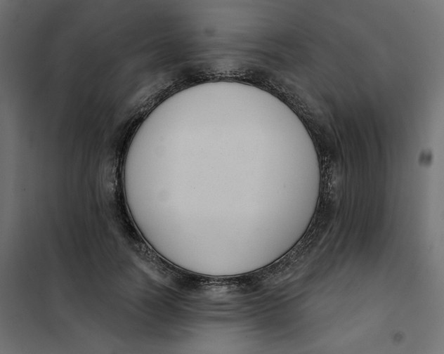 X0000101400746200807281001