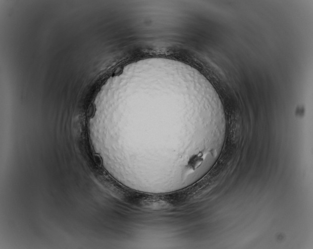 X0000101400747200807281001