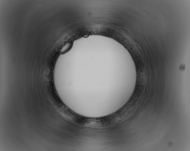 X0000101400750200807281001