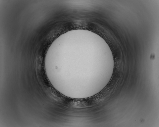 X0000101400752200807281002