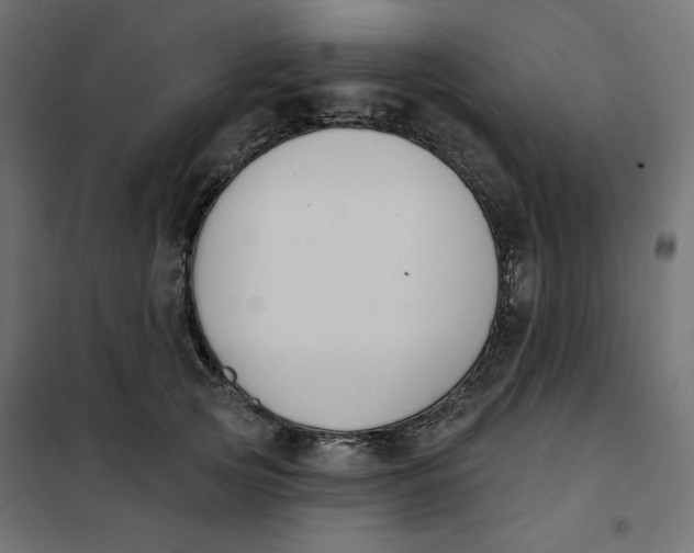 X0000101400753200807281002