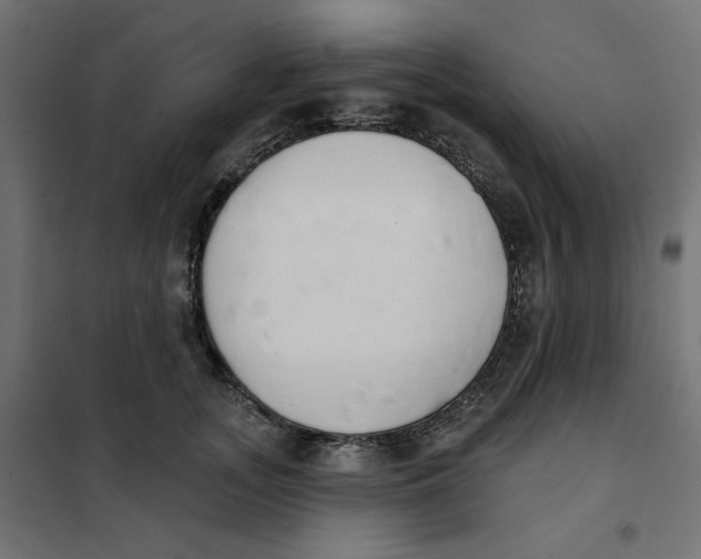 X0000101400755200807281002