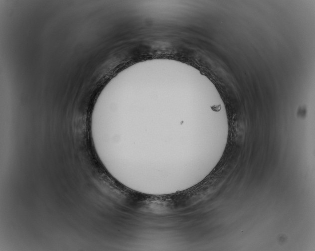 X0000101400756200807281002