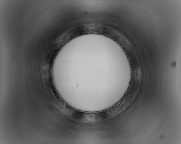 X0000101400757200807281002