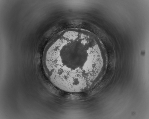 X0000101400758200807281002