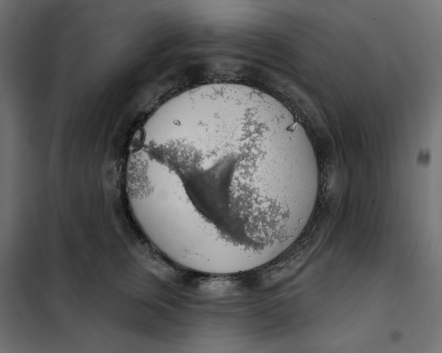 X0000101400759200807281002