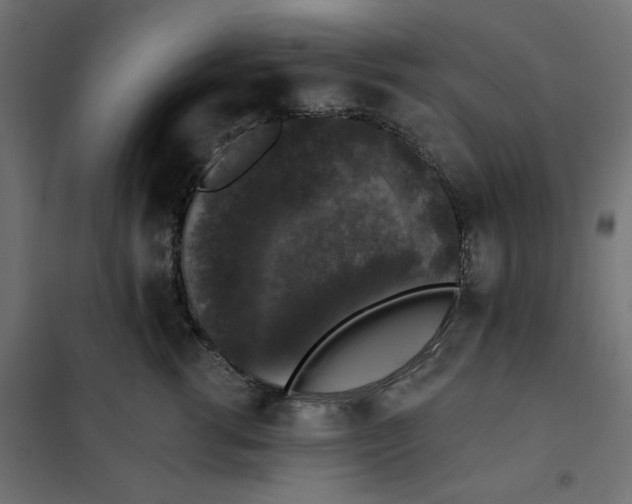 X0000101400762200807281002