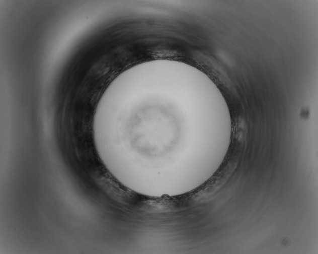 X0000101400763200807281002