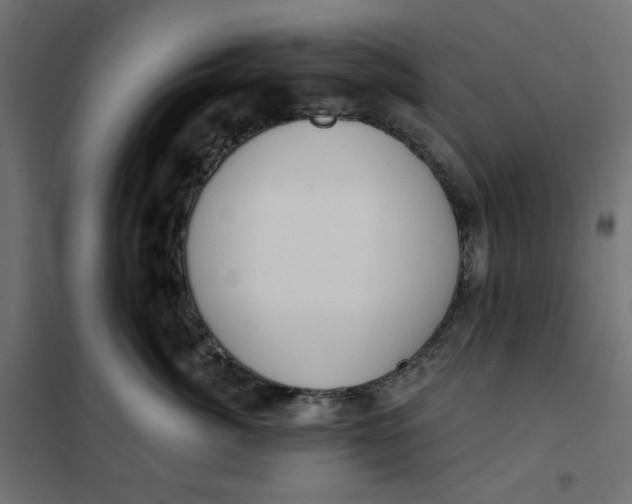 X0000101400764200807281002