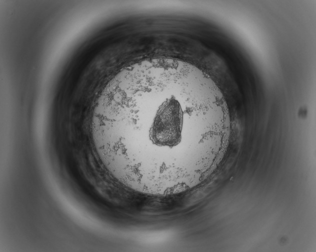 X0000101400765200807281002