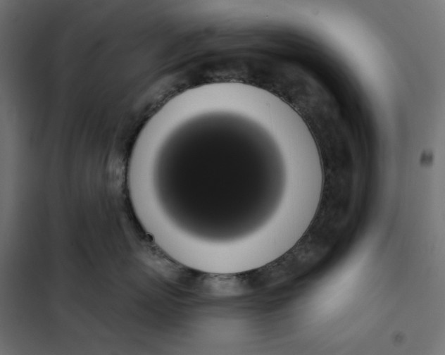 X0000101400767200807281002