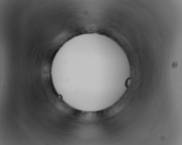 X0000101400768200807281002