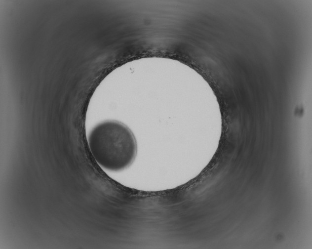 X0000101400769200807281001