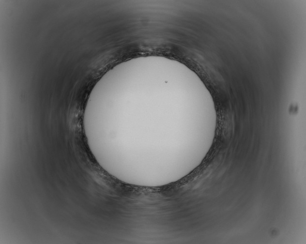 X0000101400770200807281001