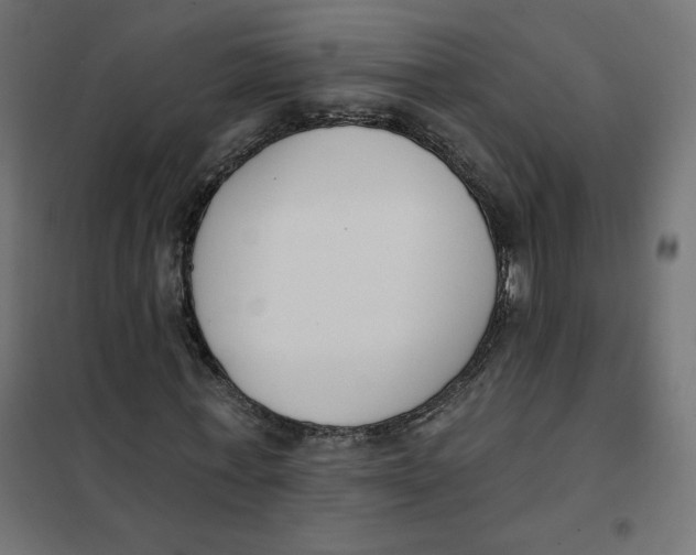 X0000101400771200807281001