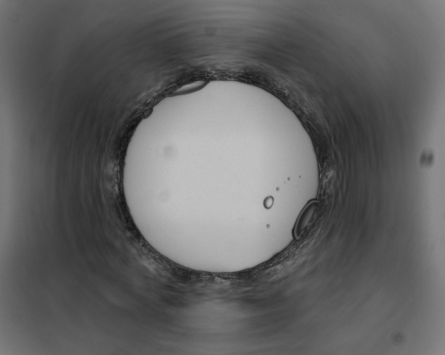 X0000101400772200807281001