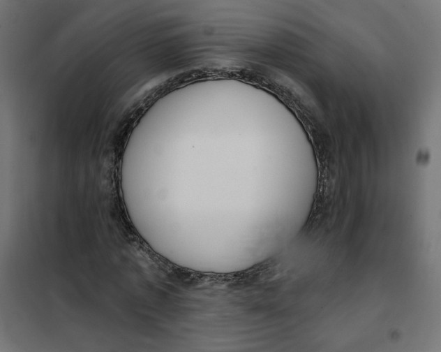 X0000101400773200807281001