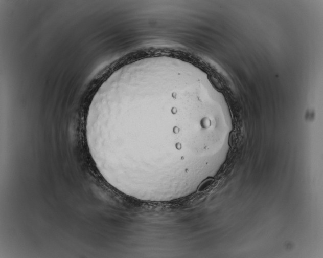 X0000101400775200807281001