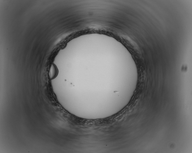 X0000101400776200807281001