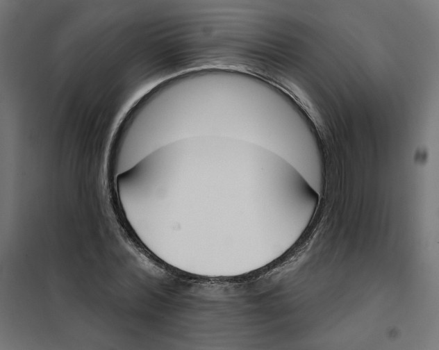 X0000101400780200807281001