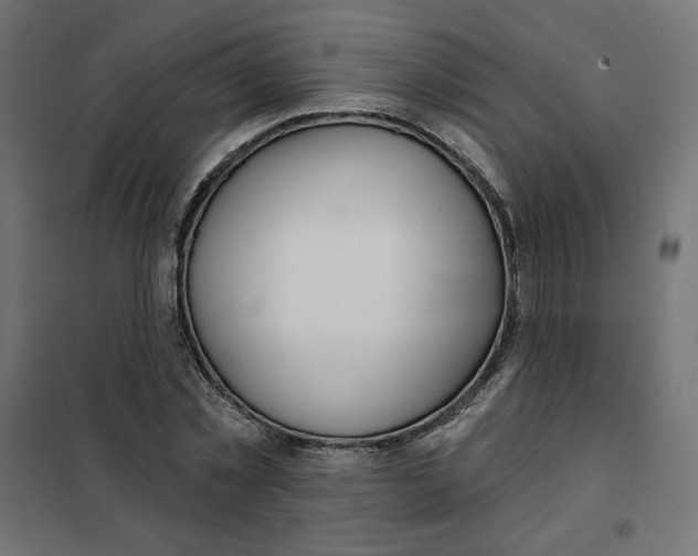 X0000101400781200807281001