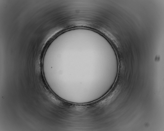 X0000101400782200807281001