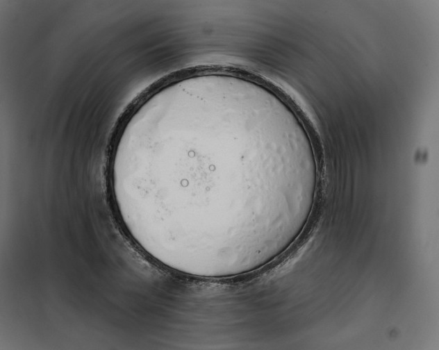 X0000101400783200807281001