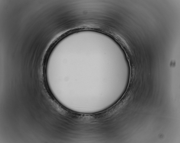 X0000101400784200807281001